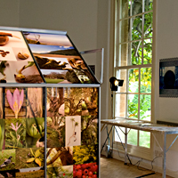 exhibition 2