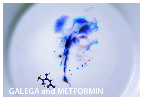 GALEGA and METFORMIN