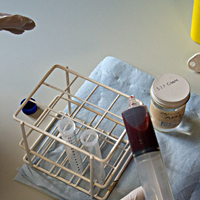 labs 26